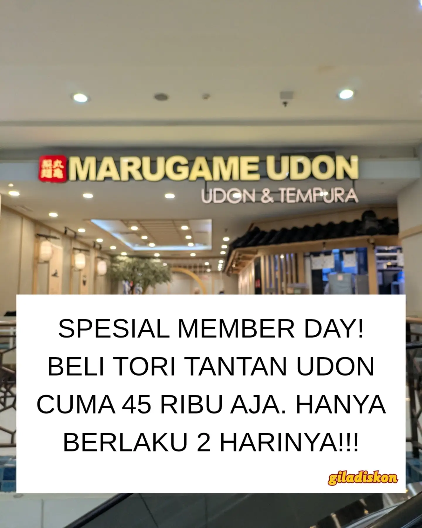 Member Day: Tori Tantan Udon Hanya Rp45rb - Image 1