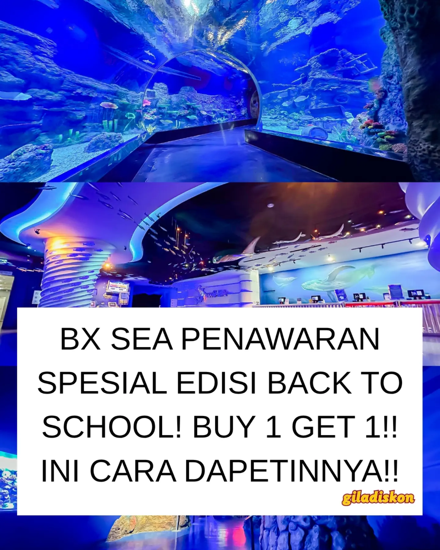 Promo Buy 1 FREE 1 Tiket BXSea Oceanarium